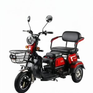 TRIMOTO ELECTRICA MOTOR 800W