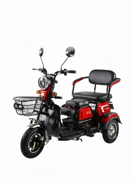 TRIMOTO ELECTRICA MOTOR 800W