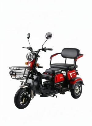 TRIMOTO ELECTRICA MOTOR 800W