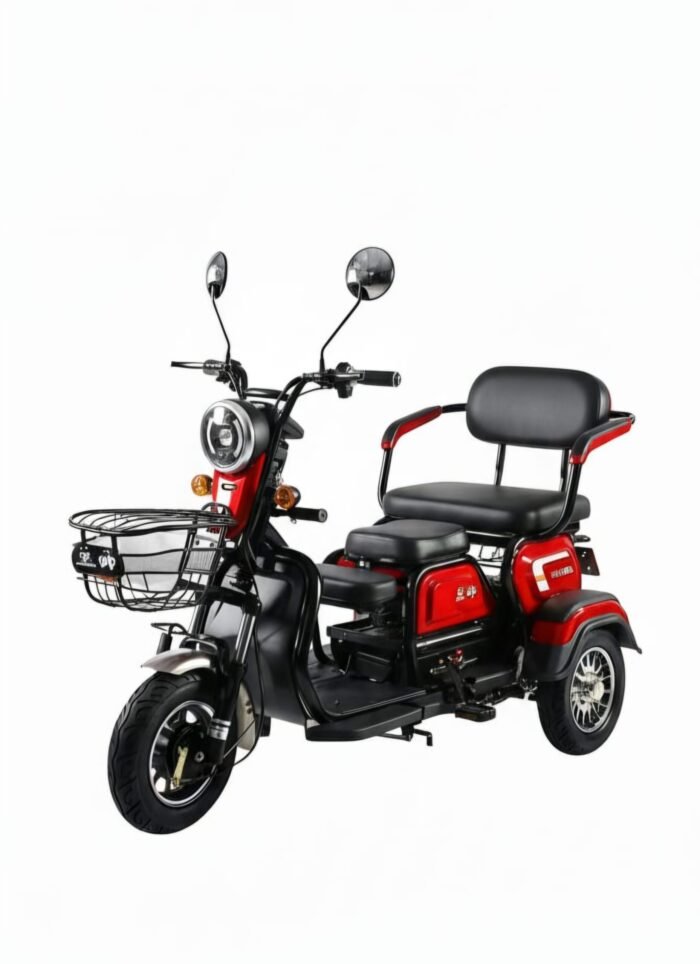 Trimoto eléctrica motor 800wths TRIMOTO ELECTRICA MOTOR 800W
